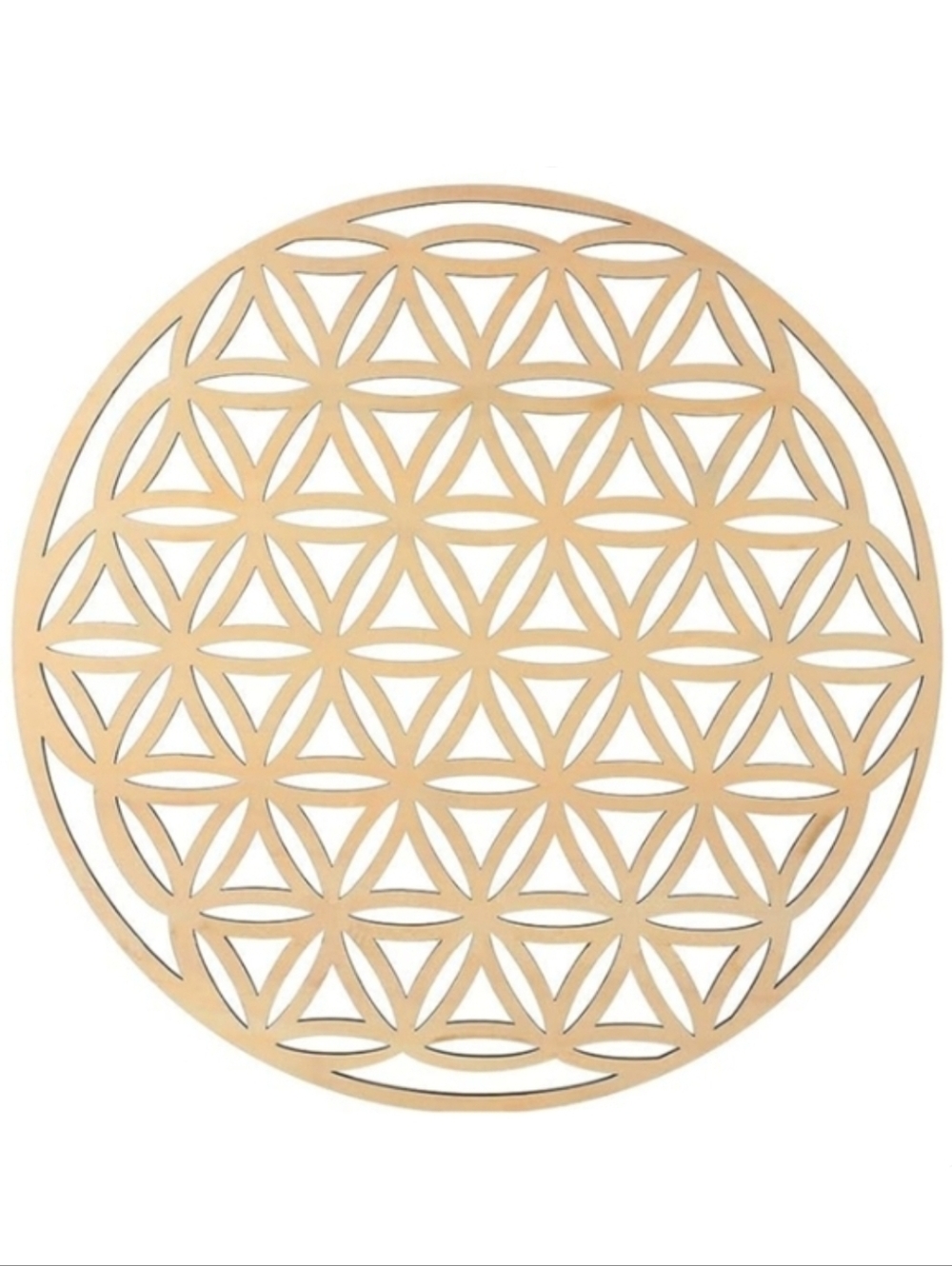 Flower of Life Sacred Geometry Mandala Wood Wall Art Crystal Display Seed Grid